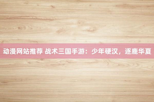 动漫网站推荐 战术三国手游：少年硬汉，逐鹿华夏