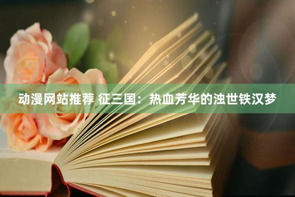 动漫网站推荐 征三国：热血芳华的浊世铁汉梦