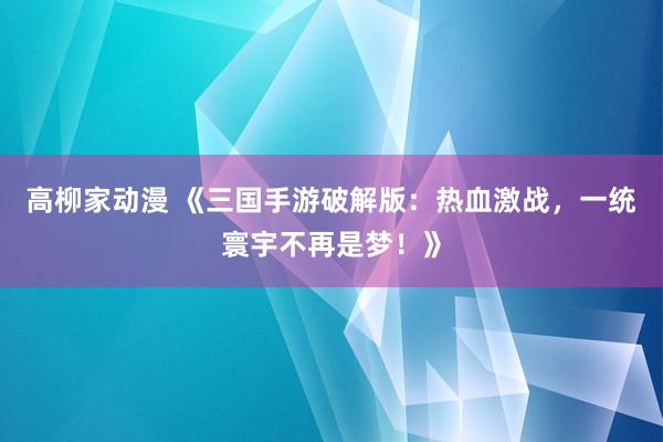 高柳家动漫 《三国手游破解版：热血激战，一统寰宇不再是梦！》