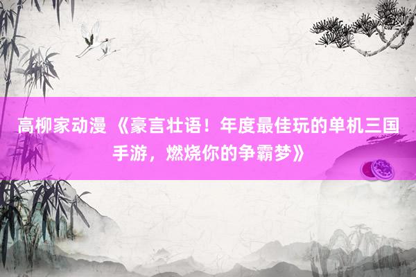 高柳家动漫 《豪言壮语！年度最佳玩的单机三国手游，燃烧你的争霸梦》