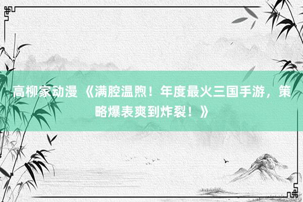 高柳家动漫 《满腔温煦！年度最火三国手游，策略爆表爽到炸裂！》