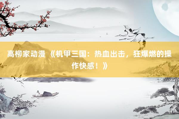 高柳家动漫 《机甲三国：热血出击，狂爆燃的操作快感！》