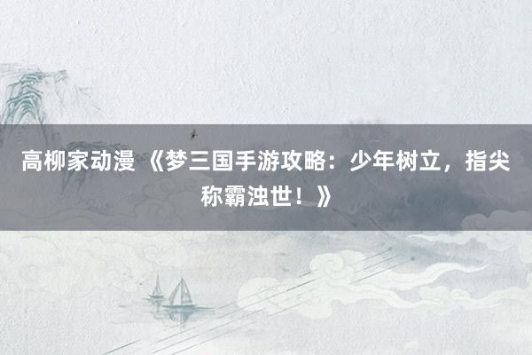 高柳家动漫 《梦三国手游攻略：少年树立，指尖称霸浊世！》