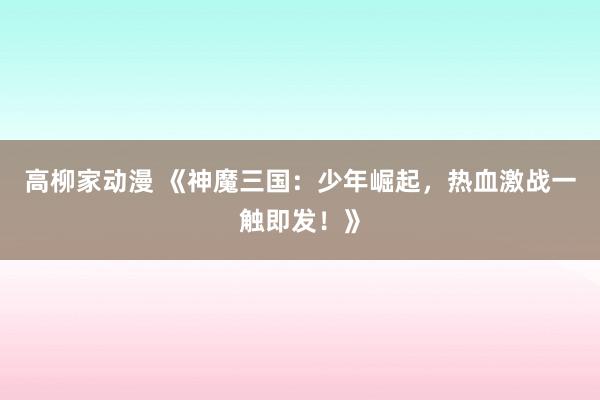 高柳家动漫 《神魔三国：少年崛起，热血激战一触即发！》
