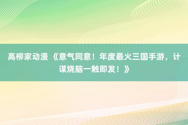 高柳家动漫 《意气同意！年度最火三国手游，计谋烧脑一触即发！》